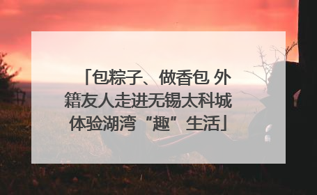 包粽子、做香包 外籍友人走进无锡太科城体验湖湾“趣”生活