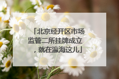 北京经开区市场监管二所挂牌成立，就在瀛海这儿