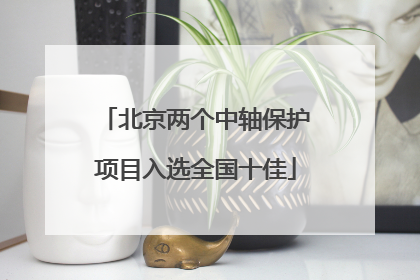 北京两个中轴保护项目入选全国十佳