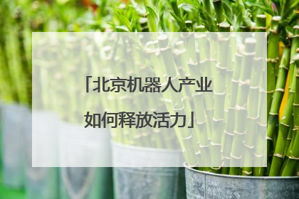 北京机器人产业如何释放活力