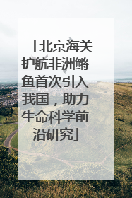 北京海关护航非洲鳉鱼首次引入我国，助力生命科学前沿研究