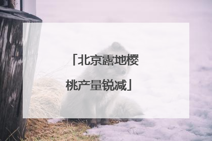北京露地樱桃产量锐减