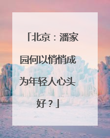 北京：潘家园何以悄悄成为年轻人心头好？