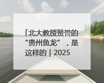 北大教授赞誉的“贵州鱼龙”，是这样的｜2025年生态文明贵阳国际论坛