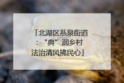 北湖区燕泉街道：“典”润乡村 法治清风拂民心