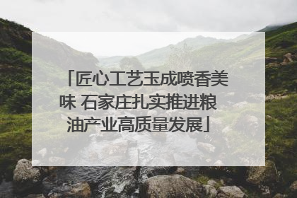 匠心工艺玉成喷香美味 石家庄扎实推进粮油产业高质量发展