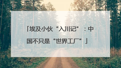 埃及小伙“入川记”：中国不只是“世界工厂”