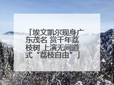 埃文凯尔现身广东茂名 赏千年荔枝树 上演无间道式“荔枝自由”