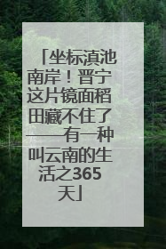 坐标滇池南岸！晋宁这片镜面稻田藏不住了——有一种叫云南的生活之365天