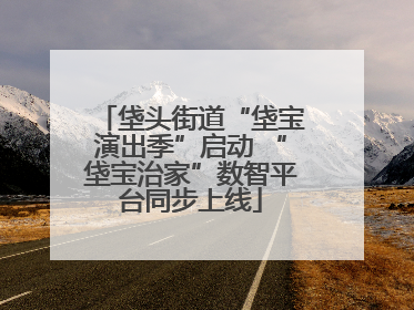 垡头街道“垡宝演出季”启动 “垡宝治家”数智平台同步上线