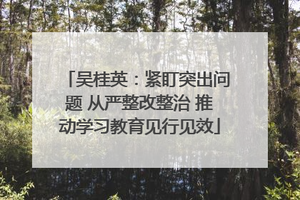 吴桂英：紧盯突出问题 从严整改整治 推动学习教育见行见效