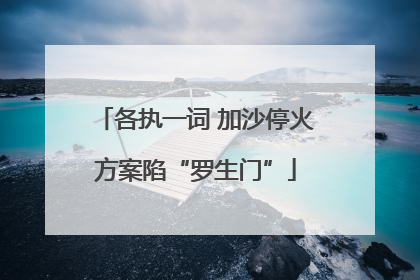 各执一词 加沙停火方案陷“罗生门”