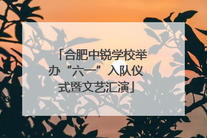 合肥中锐学校举办“六一”入队仪式暨文艺汇演