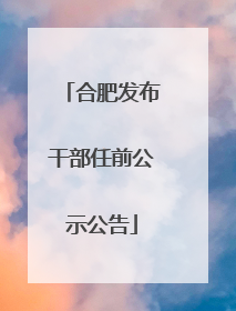 合肥发布干部任前公示公告