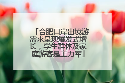 合肥口岸出境游需求呈现爆发式增长，学生群体及家庭游客是主力军
