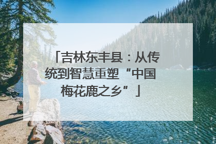 吉林东丰县：从传统到智慧重塑“中国梅花鹿之乡”