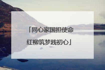 同心家国担使命 红柳筑梦践初心