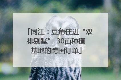 同江：豆角住进“双排别墅” 30亩种植基地的跨国订单