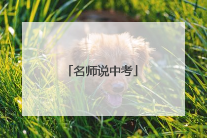 名师说中考