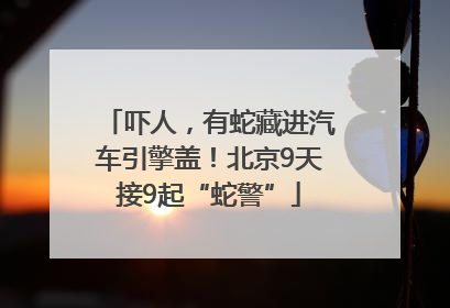 吓人，有蛇藏进汽车引擎盖！北京9天接9起“蛇警”