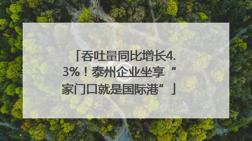 吞吐量同比增长4.3%！泰州企业坐享“家门口就是国际港”
