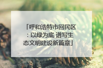 呼和浩特市回民区：以绿为底 谱写生态文明建设新篇章