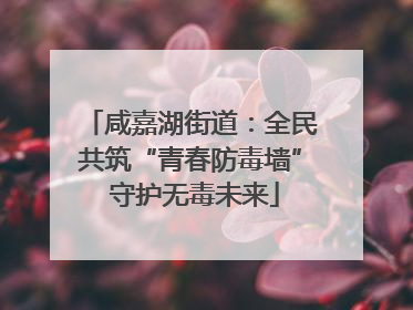 咸嘉湖街道：全民共筑“青春防毒墙” 守护无毒未来