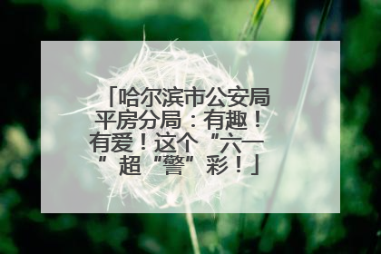 哈尔滨市公安局平房分局：有趣！有爱！这个“六一”超“警”彩！