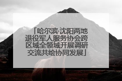 哈尔滨·沈阳两地退役军人服务协会跨区域全领域开展调研交流共绘协同发展