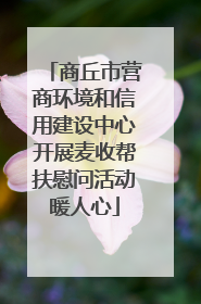 商丘市营商环境和信用建设中心开展麦收帮扶慰问活动暖人心