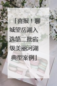 喜报！聊城望岳湖入选第二批省级美丽河湖典型案例