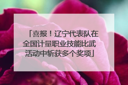喜报！辽宁代表队在全国计量职业技能比武活动中斩获多个奖项