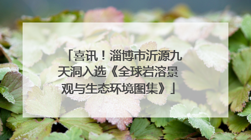 喜讯！淄博市沂源九天洞入选《全球岩溶景观与生态环境图集》