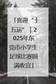 喜迎“十五运”｜2025年东莞市小学生足球比赛圆满收官