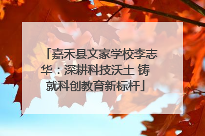 嘉禾县文家学校李志华：深耕科技沃土 铸就科创教育新标杆