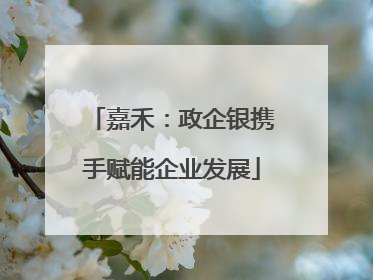 嘉禾：政企银携手赋能企业发展