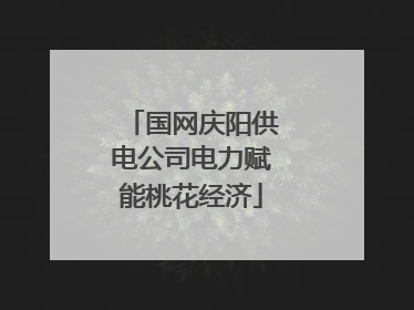 国网庆阳供电公司电力赋能桃花经济