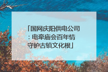 国网庆阳供电公司：电牵庙会百年情 守护古镇文化根