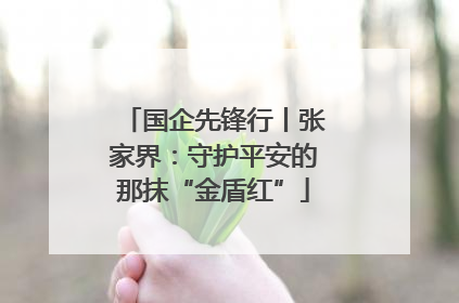 国企先锋行丨张家界：守护平安的那抹“金盾红”