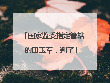 国家监委指定管辖的田玉军，判了