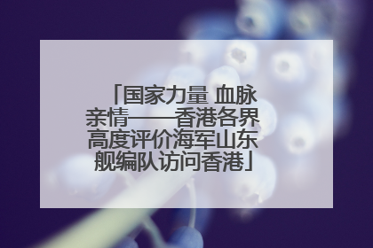 国家力量 血脉亲情——香港各界高度评价海军山东舰编队访问香港