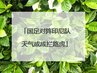 国足对阵印尼队 天气或成拦路虎