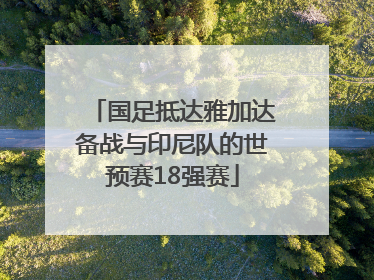 国足抵达雅加达备战与印尼队的世预赛18强赛