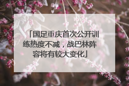 国足重庆首次公开训练热度不减，战巴林阵容将有较大变化