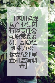 四川省煤炭产业集团有限责任公司原党委委员、副总经理张万松 接受纪律审查和监察调查