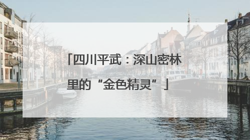 四川平武：深山密林里的“金色精灵”
