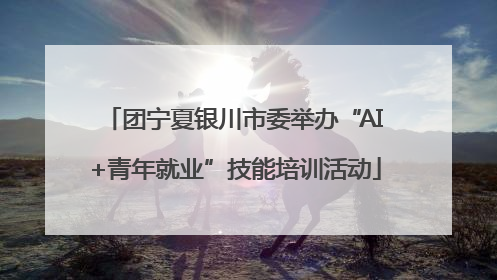 团宁夏银川市委举办“AI+青年就业”技能培训活动