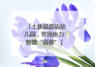 土拨鼠造访幼儿园，警民协力智擒“萌兽”