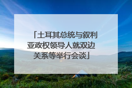 土耳其总统与叙利亚政权领导人就双边关系等举行会谈