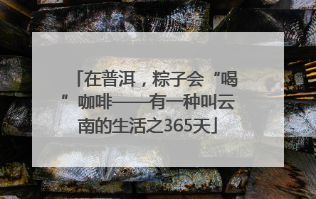 在普洱，粽子会“喝”咖啡——有一种叫云南的生活之365天